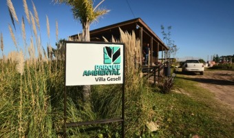 VIVERO: CONTINA LA ENTREGA DE PLANTAS A CONTRIBUYENTES